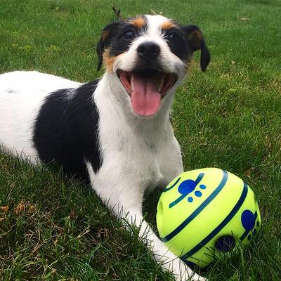 14 cm großer Giggle Ball, interaktives Hundespielzeug, lustige Kichergeräusche beim Rollen oder Schütteln, Katzenspielzeug, Silikon-Springtrainingsball für Hunde