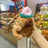 Knitted Clothing Capybara Doll Bag Plush Pendant Penguin Kapibara Boutique Keychain