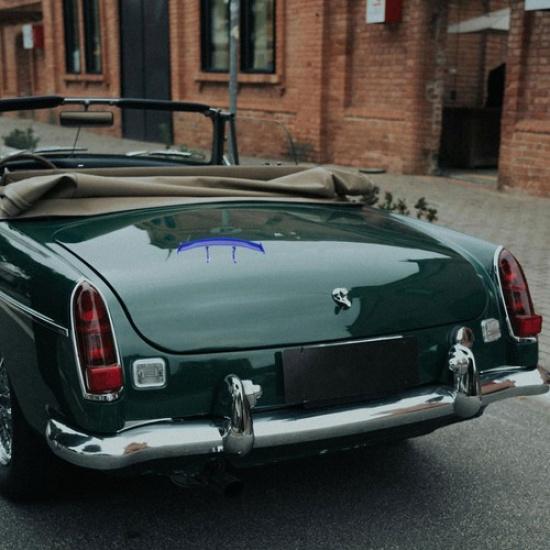 Car Modification Tail Wing Decor Rear Spoiler Vehicle Tail Wing Spoiler Car