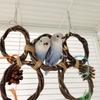 Parrot Rings, Bird Apple Branches, Hand-woven Rings, Bird Swing Toys, Pet Parrot Cage Gnawing Supplies