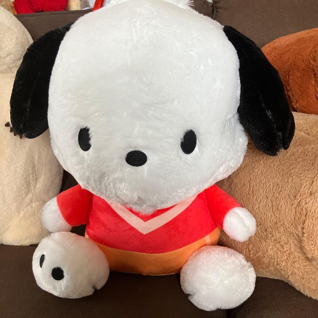 Pochacco Plush Toy Sanrio