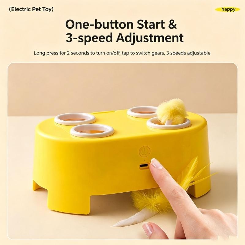 Rechargeable Activity Device with Moving Mouse Objects, Automatic Pause Cycles, Three Options, and Five Openings