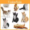 Ragdoll Katze PVC Tiermodell Für Kinder Pädagogischer Spielraum Dekor
