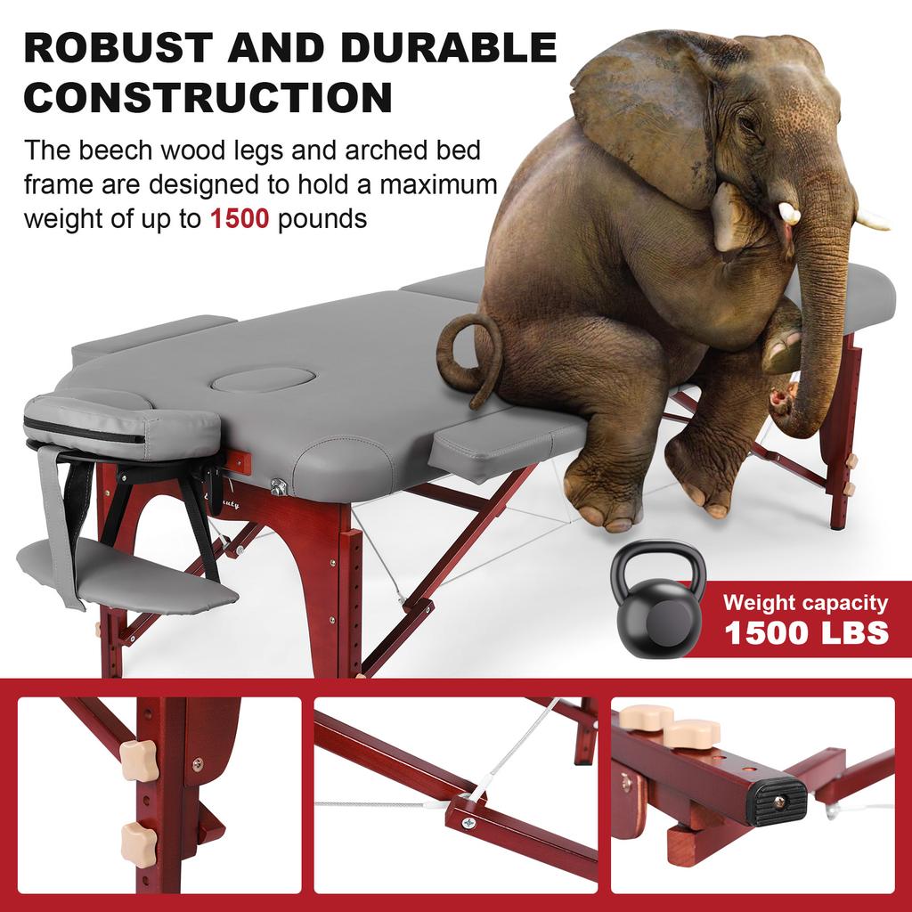 Massage Portable Stretchers with Headrest Height Adjustable Stretcher Luxury Comfortable Spa Bed Folding Table Aesthetic Salon F