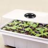 6/12Grids Plant Germination Base with Ventilation Hole Cultivation Planting Box  Garden