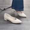 Shoes pointed single shoes new summer with skirt shallow mouth female thick heel bridesmaid versatile temperament