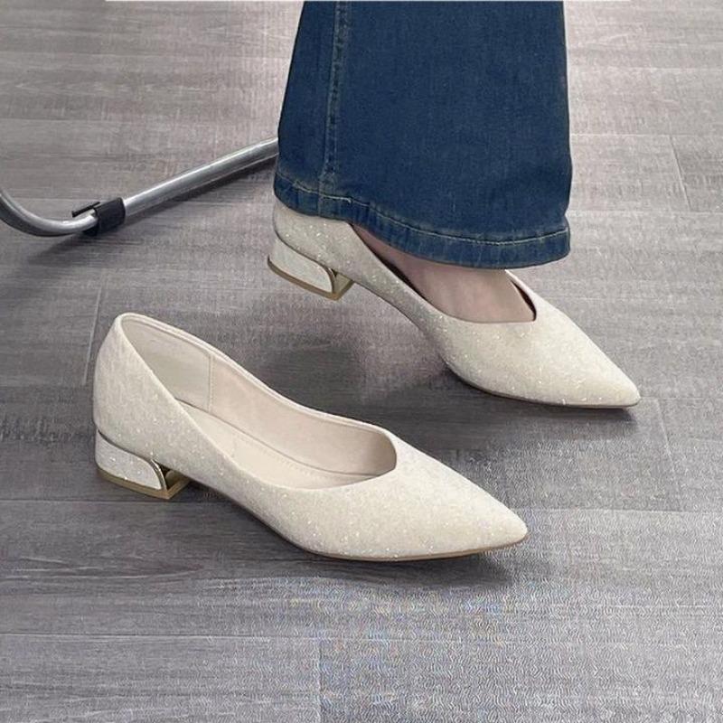 Shoes pointed single shoes new summer with skirt shallow mouth female thick heel bridesmaid versatile temperament