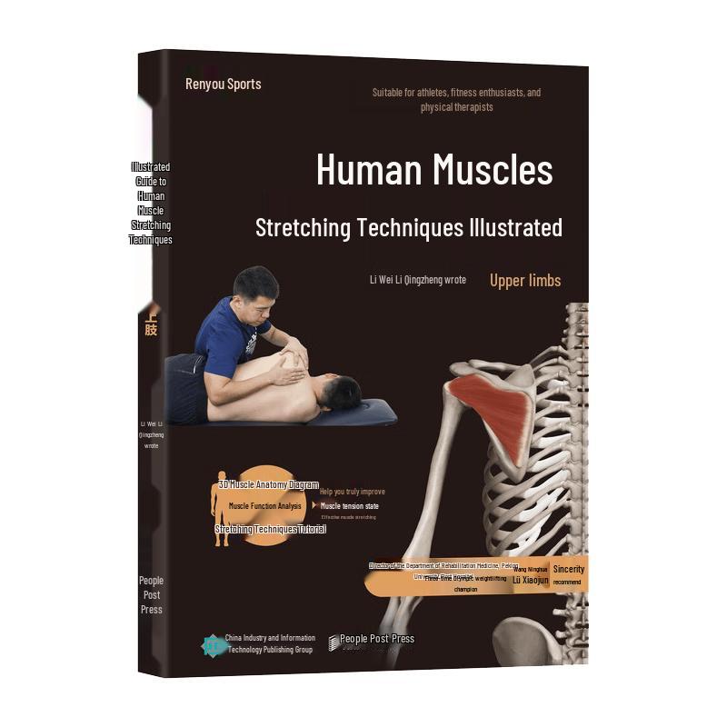 Human Muscle Stretching Techniques Illustrated