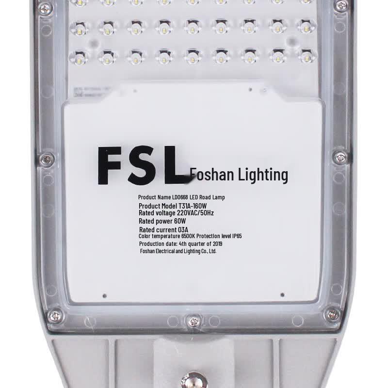 FSL 0668 Series LED Street Light