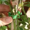 200/50PCS Plant Support Clips Reusable Plastic Connects Vine Fixing Clip Tomato Grape Vegetable Plants Holder Buckle Garden Tool