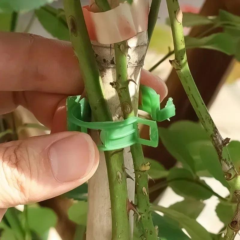 200/50PCS Plant Support Clips Reusable Plastic Connects Vine Fixing Clip Tomato Grape Vegetable Plants Holder Buckle Garden Tool