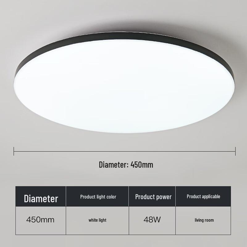 Frameless Round LED Ceiling Light
