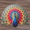 Special-shaped Peacock Carpet Non-slip Bathroom Floor Mat  for Living Room Tea Table Bedside