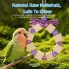 Ring-shaped Wooden Parrot Chewing Colorful Beads Solid Wood Bird Foraging Swing Bite Resistant Chewing Exercise