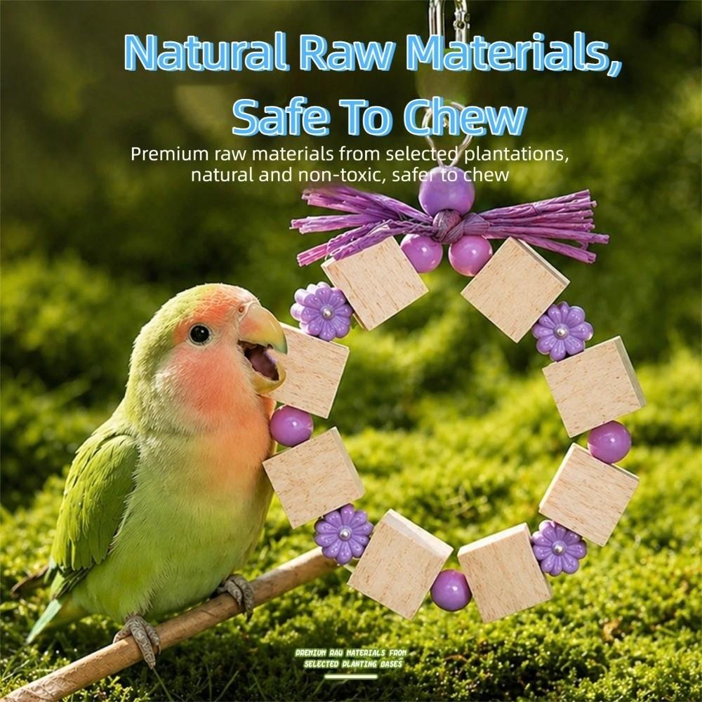 Ring-shaped Wooden Parrot Chewing Colorful Beads Solid Wood Bird Foraging Swing Bite Resistant Chewing Exercise