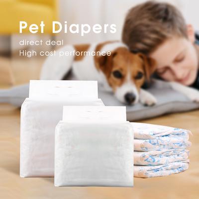 Husdjurstillbehör Hundblöjor Husdjursblöjor Hanhund Engångsblöjor Mensbyxor Tikhund Fysiologiska byxor Tillbehör