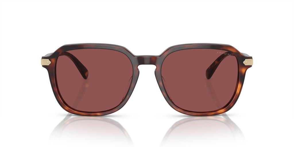 Sunglasses HC8383U CL912 DARK TORTOISE 55 [Coach] TORTOISE/CARAMEL