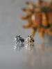 Titanium Sun Cap With White Zircon - Gold - Tna-166 1.2 Mm