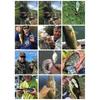 Multi-Section Artificial Fishing Lures Fishhooks Jointed Swimbait Crankbait Fishing Realistic 3D Sinking Swimming Baits