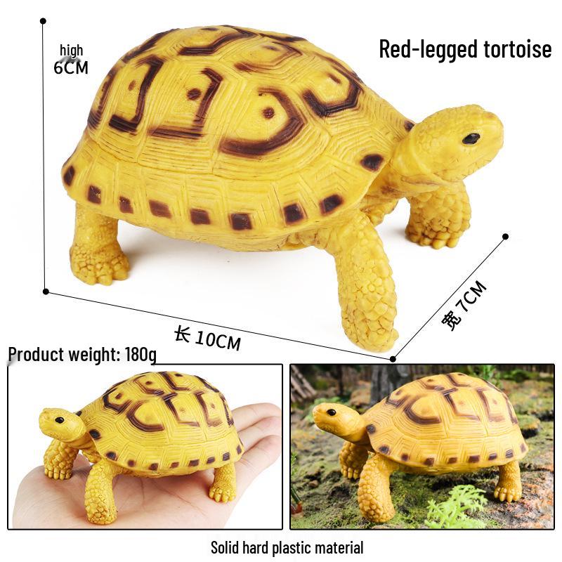 Children's Cognitive Marine Animal Models: Sea Turtle and Tortoise Toys