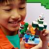 LEGO Minecraft 21583 Steves Abenteuer in der Taiga - Spiel für Jungen oder Mädchen ab 6 Jahren