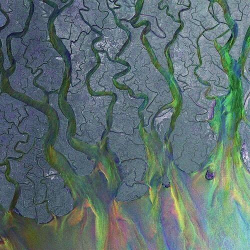 Alt-J - Awesome Wave [Vinyl] UK - Import