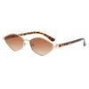 Small Polygon Women Sunglasses Light Weight Irregular Metal Sun Glasses For Ladies Fashion Travelling Driving Shades UV400