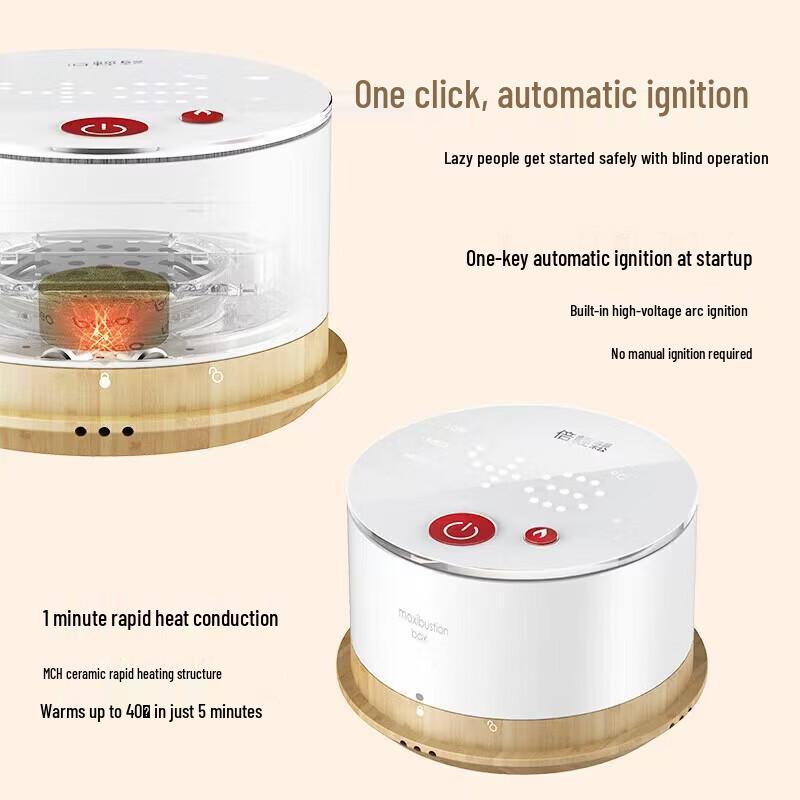 Breo Ginger Bamboo Portable Electronic Moxibustion Device CN plug (adapter included)