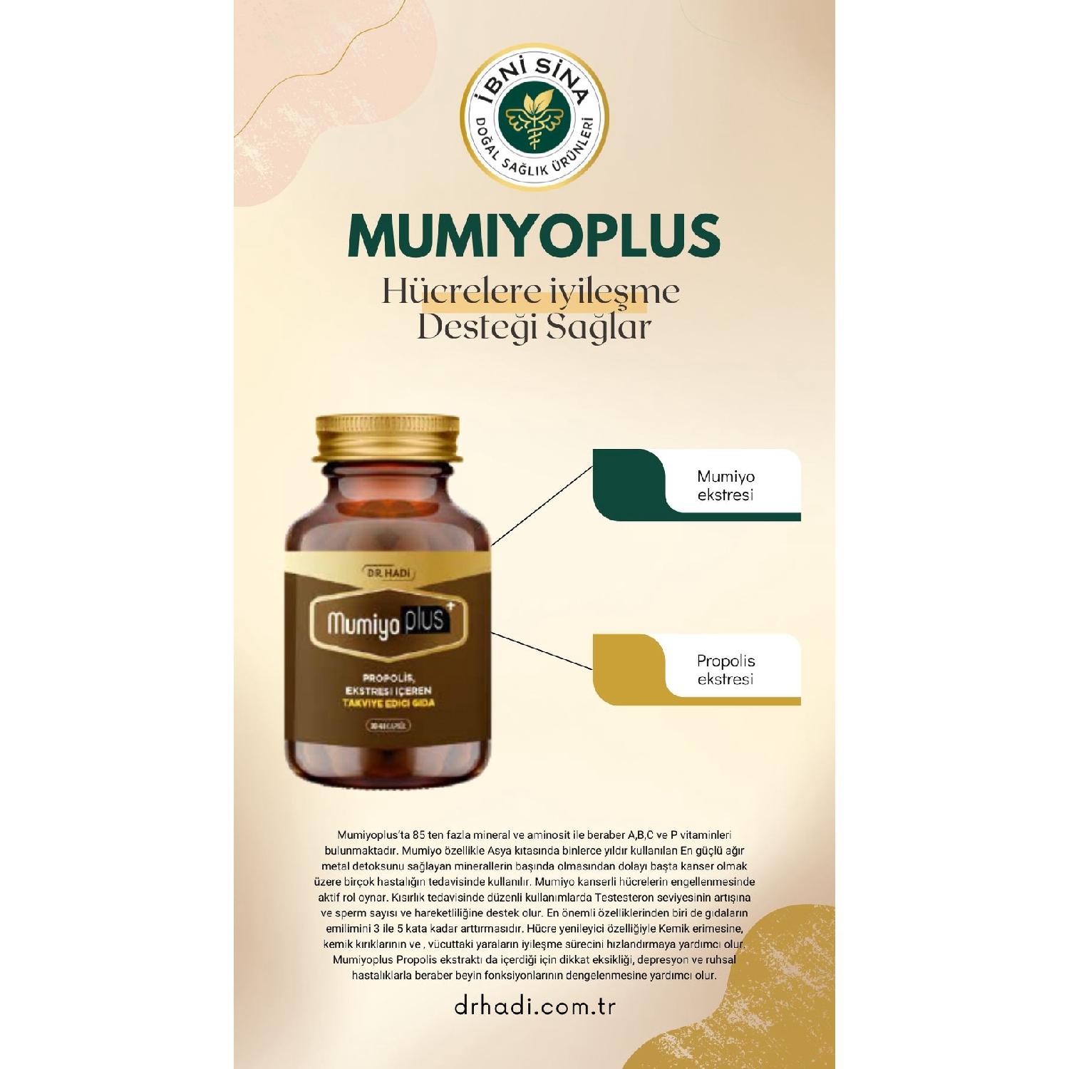 

Mumo Plus