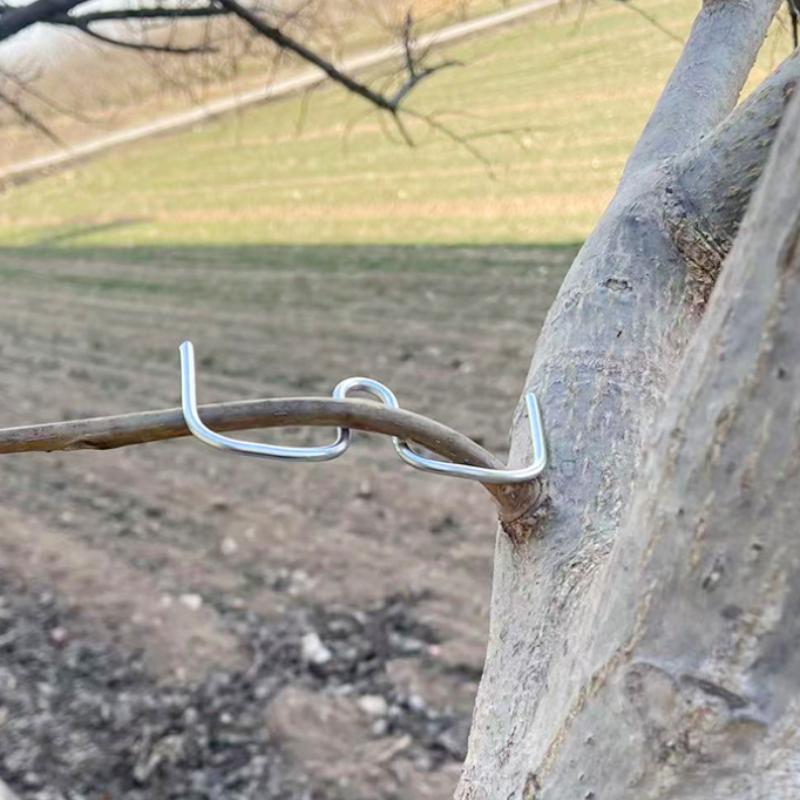 10/30Pcs Fruit Tree Branch Shape Fixator M-Type Branch Trainer Angle Benders Reusable Fruit Tree Support Holder Vine Trainers