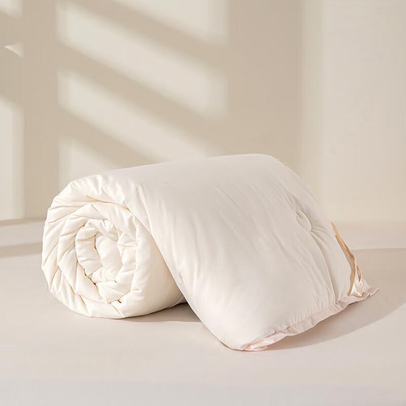 Duoxiai Jingya Klasse A Sojaprotein Ganzjahres-Bettdecken-Einsatz