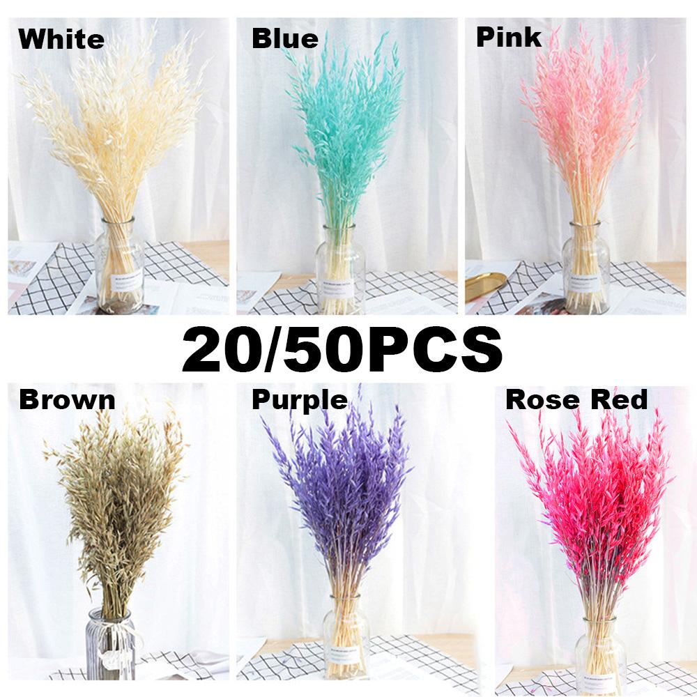 Natural Material Plant Stems Dried Flowers Bouquets Real Flower Wheat Ear Grass Natural Material Plant Stems Dried Flowers Bouquets Real Flower Wheat Ear Grass