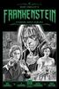 Mary Shelleys Frankenstein Starring Boris Karloff by Mary Shelley Hardback Book 9781681161297