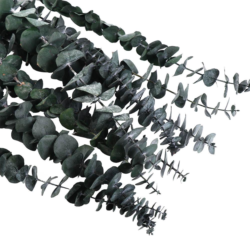 10 Pcs Large Artificial Plants Flowers 22 inch Preserved Eucalyptus Stems  Bathroom