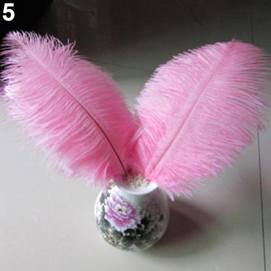 15 Pcs Natural Ostrich Feathers Colored Soft Feather for Clothes Wedding Decor