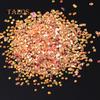 DIY Glitter Acrylic Scale Tips Sequins Sticker Manicure Nail Decor Tool for Lady