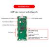 Raspberry Pi Pico Board RP2040 Çift Çekirdekli 264KB ARM Düşük Güçlü Mikro Bilgisayarlar Yüksek Performanslı Cortex-M0+ İşlemci