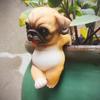 Animal Decorative Statue Mini Cat Dog Resin Ornament Compact Design Flower Pots