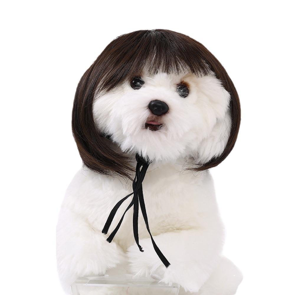 Pet Wig for Cats and Dogs - Bob Cut Headdress, Cosplay Funny Hair Accessories