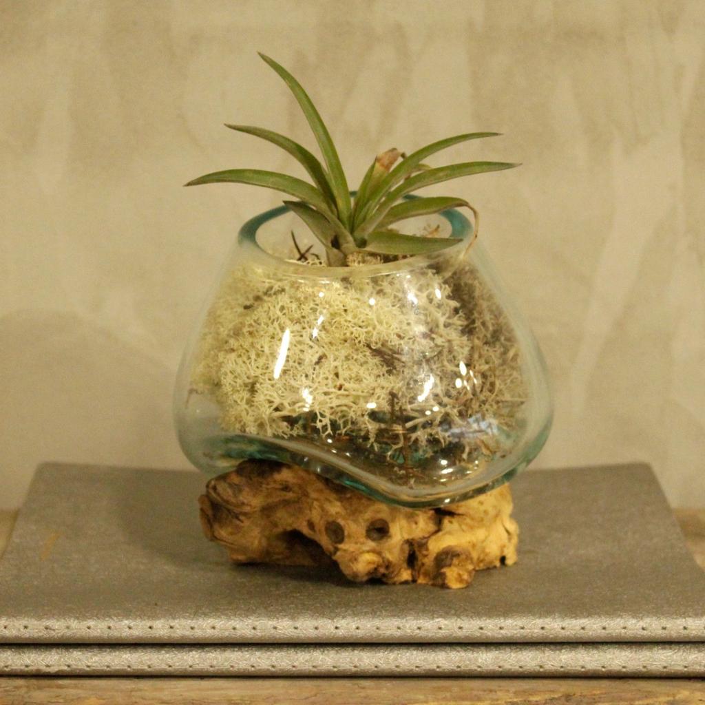 Schmelzglas-Schale auf Holzsockel