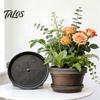 Drainage Flower Pots with Saucer Bulb Plant Pot Saucer, 10 Inch 13 Wide Flowerpot Lightweight Resin Planters Holes, Indoor Outdoor Planter for Tulips