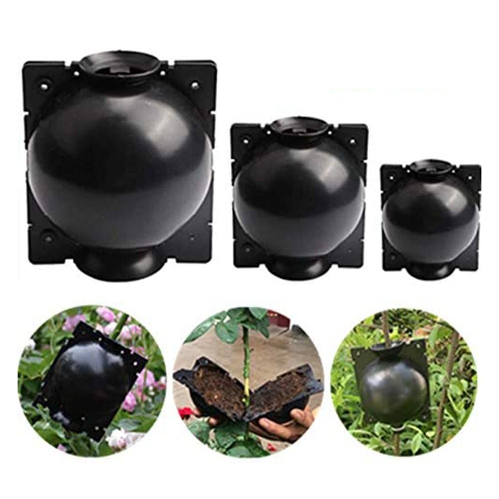 Boost Your Garden's Productivity with Propagation Ball Box Set of 6