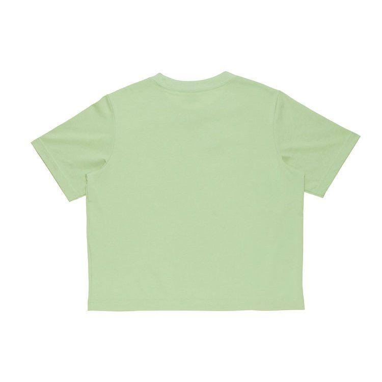 Nike ACG Women'ss Embroidered Knit Crewneck T-Shirt Green DQ2907-343