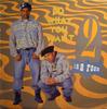12inch Record 2 IN A ROOM  Do What You Want 096320 Cutting Records 1991 US Dance  Electronica Used