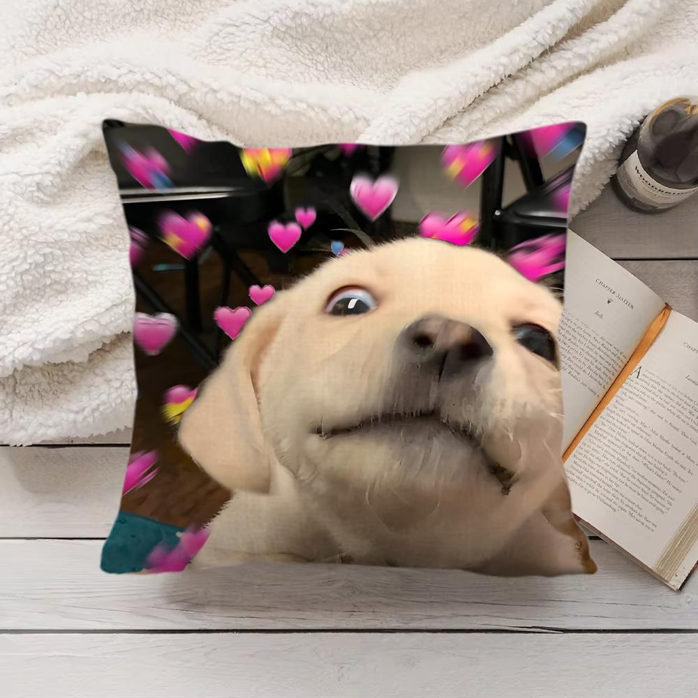 Cute Cat Dog Kawaii Gift Cushion Cover Silky Short Plush Invisible Zipper Dustproof Sofa Pillow Case For Home Decor