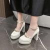 French high heels square head one-word buckle fashion shoes thick heel spring and autumn new single shoes 11cm 2025 waterproof tai xian