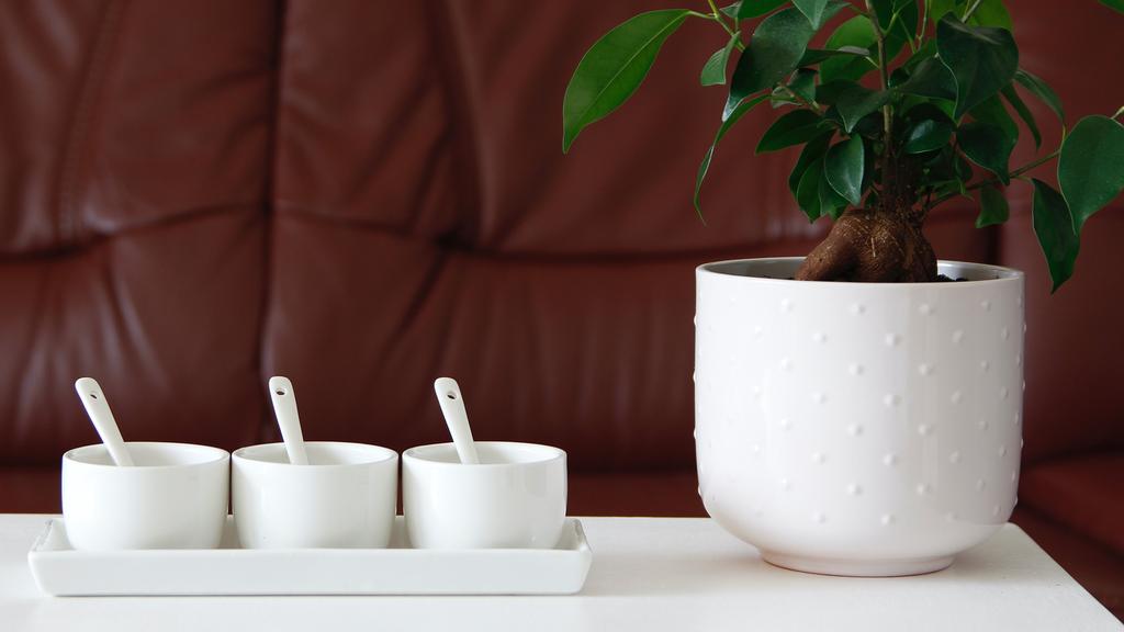 BOWLS CONTAINERS FOR SAUCE AND DIP 3 Pcs SET