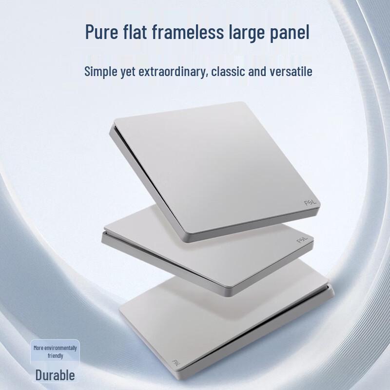 Foshan Lighting Type 86 Concealed Wall Switch & 10A Socket