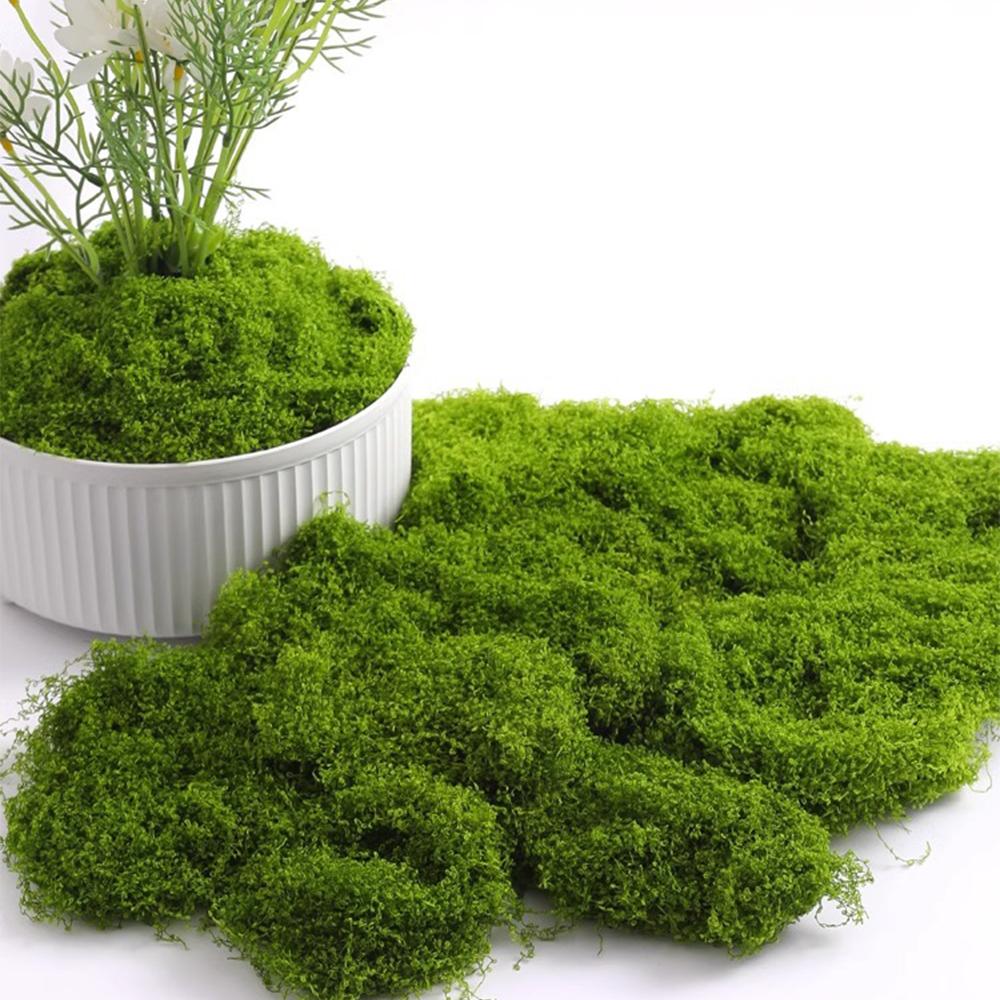 20/40/100g Eternal Life Moss DIY Crafts Grass Artificial Green Plants Home Room Garden Decor Mini Landscape Fake Grass Bonsai