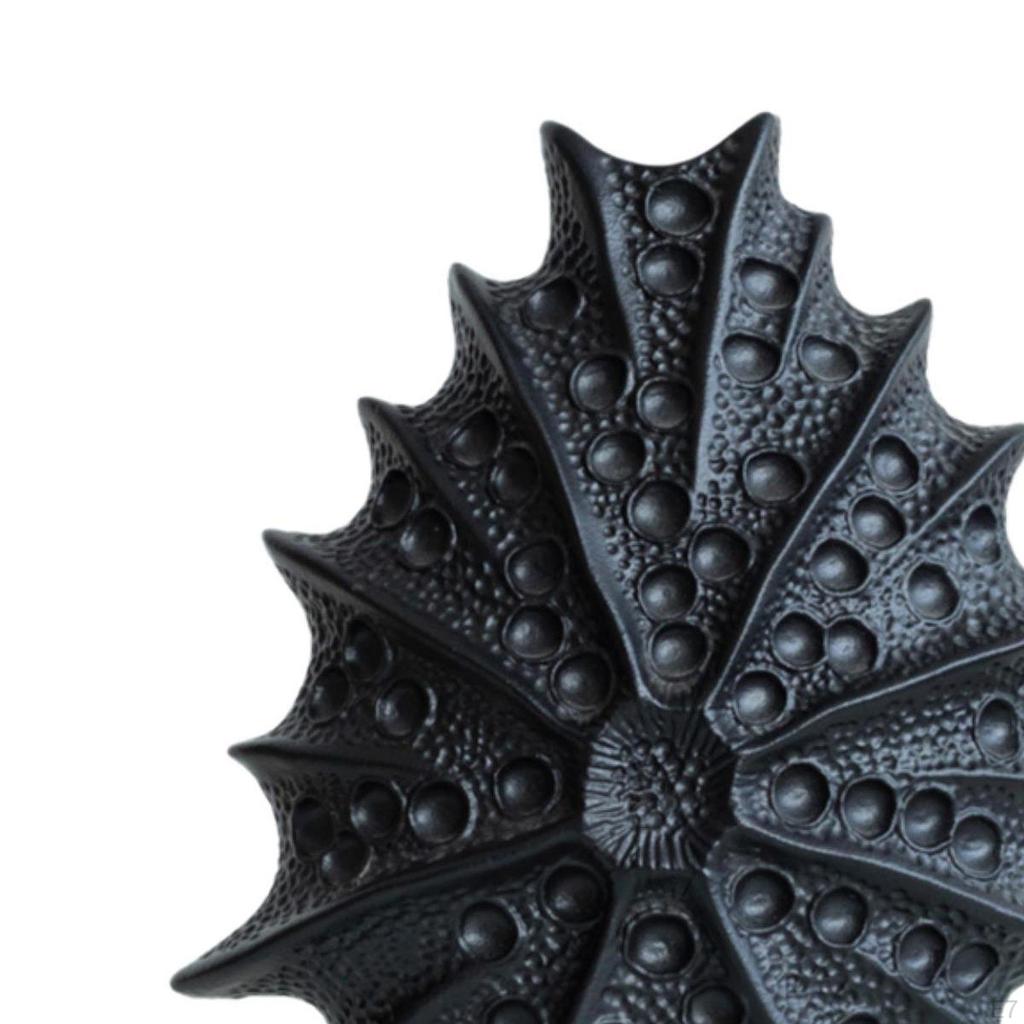 Ceramic Flower Holder for Home , Shell Design Office And Living Areas